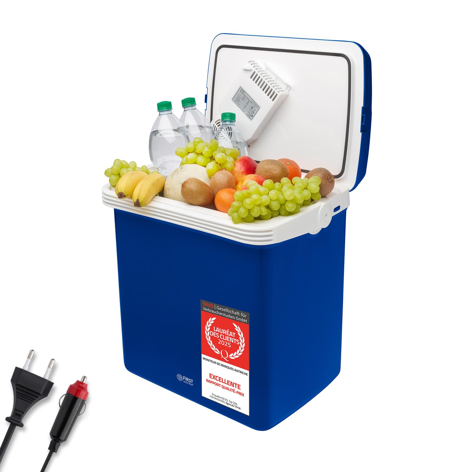 TZS First Austria - Réfrigérateur portable 32L électrique - Idéal pour camping et voyages - Box thermoélectrique refroid